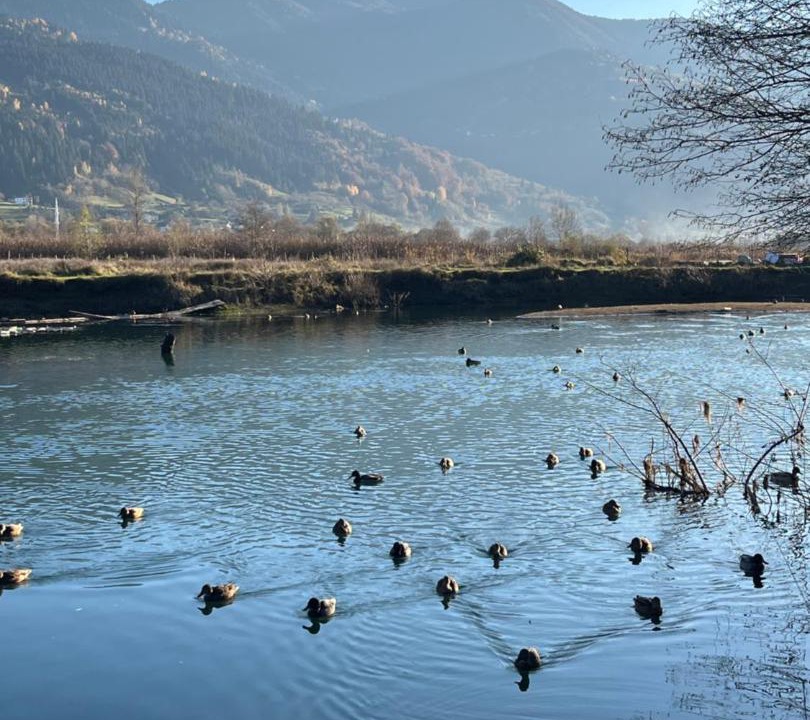 Photo of Others in Plav