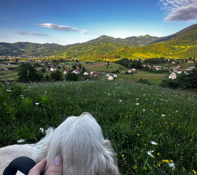 Photo of Others in Mojkovac