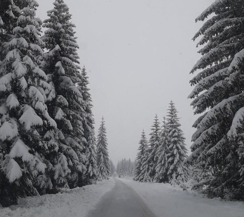 Photo of Others in Zabljak