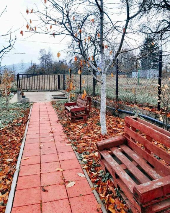 Photo of Outdoor in Plav