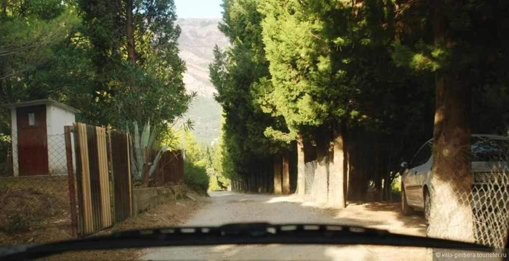 Photo of Others in Sutomore