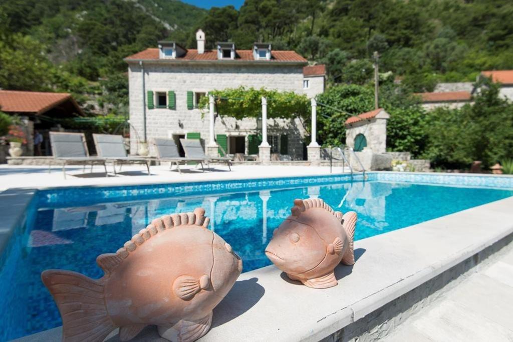 Photo of Others in Kotor