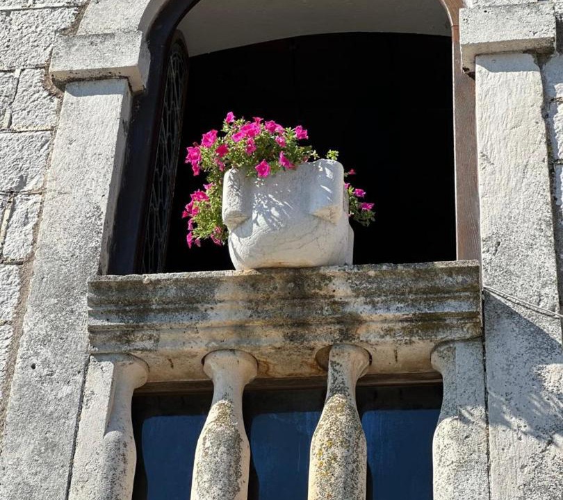 Photo of Others in Perast