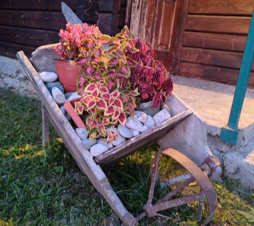 Photo of Others in Montenegro