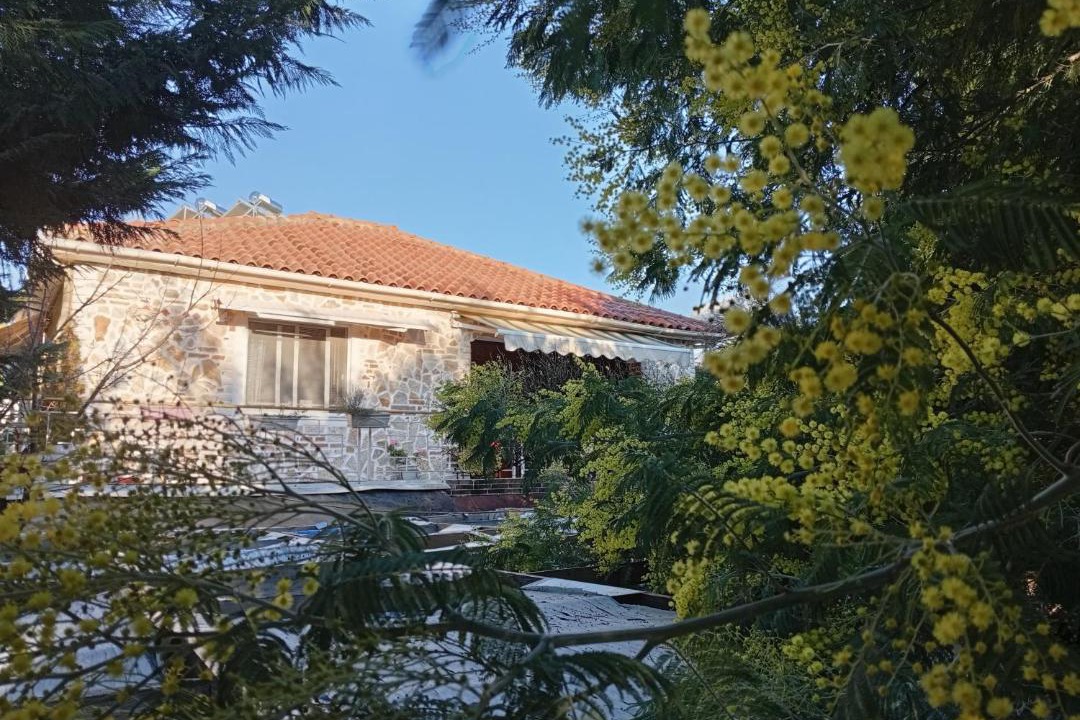 Photo of Others in Ksamil