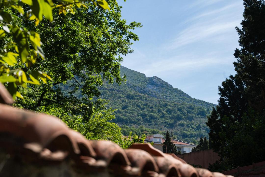 Photo of Others in Sutomore