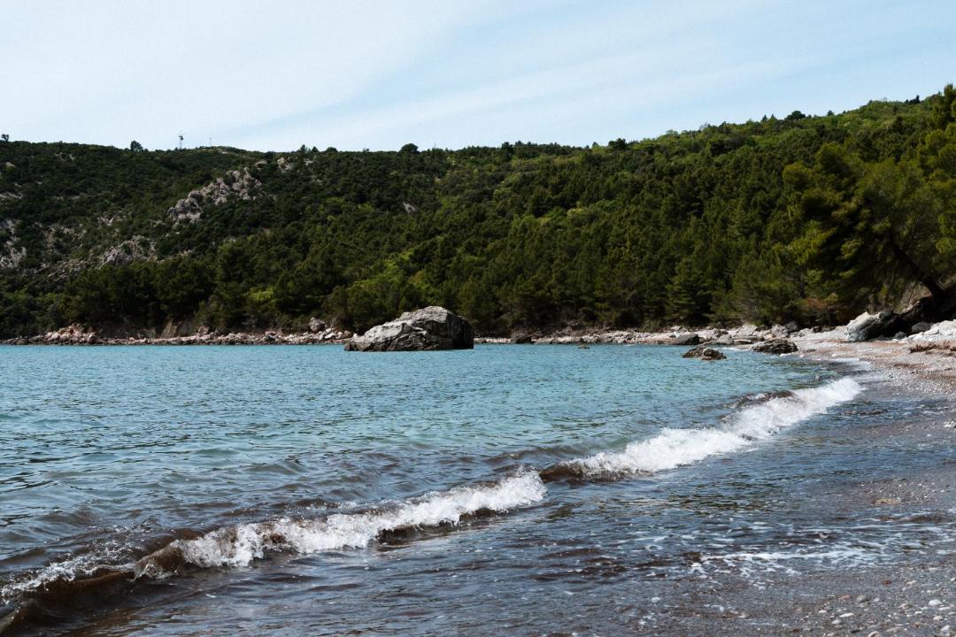 Photo of Others in Sutomore