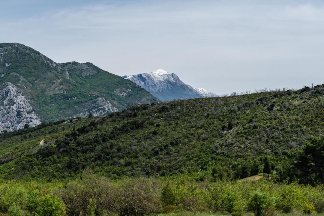 Photo of Others in Sutomore