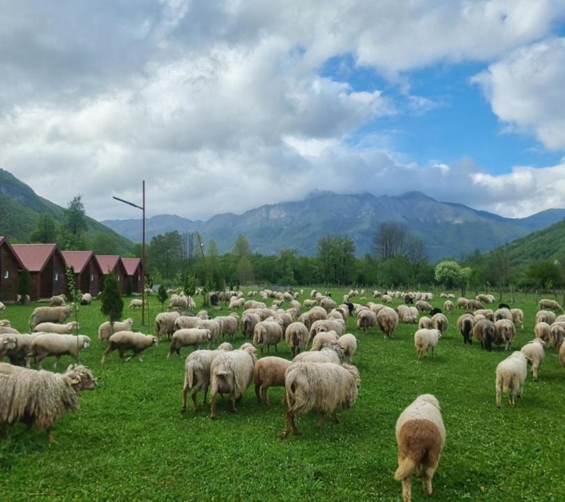 Photo of Others in Vusanje