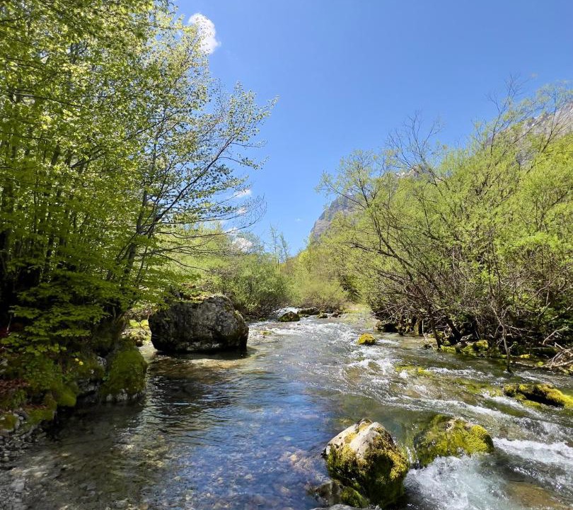 Photo of Others in Vusanje