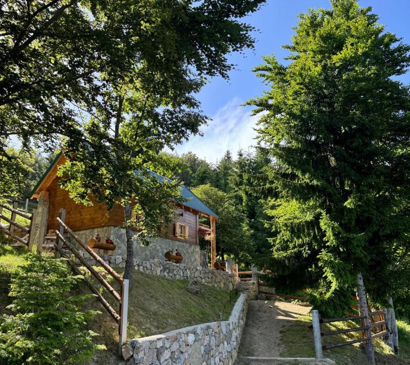 Photo of Others in Montenegro