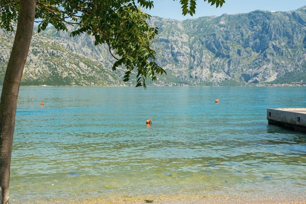 Photo of Others in Donji Stoliv