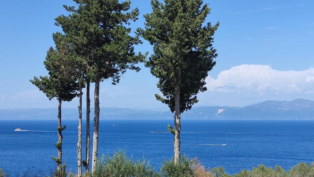 Photo of Others in Gaios