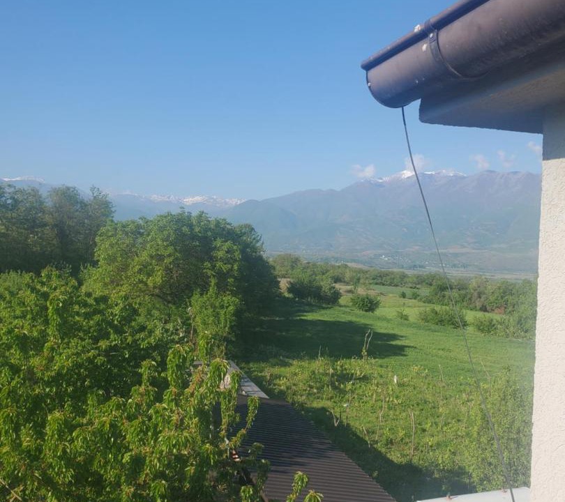 Photo of Others in Diber
