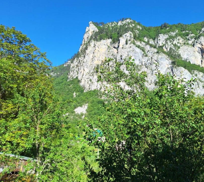 Photo of Others in Montenegro