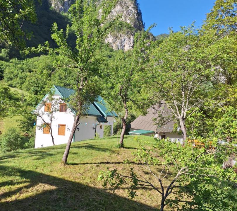 Photo of Others in Montenegro