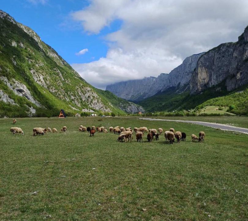 Photo of Others in Savnik