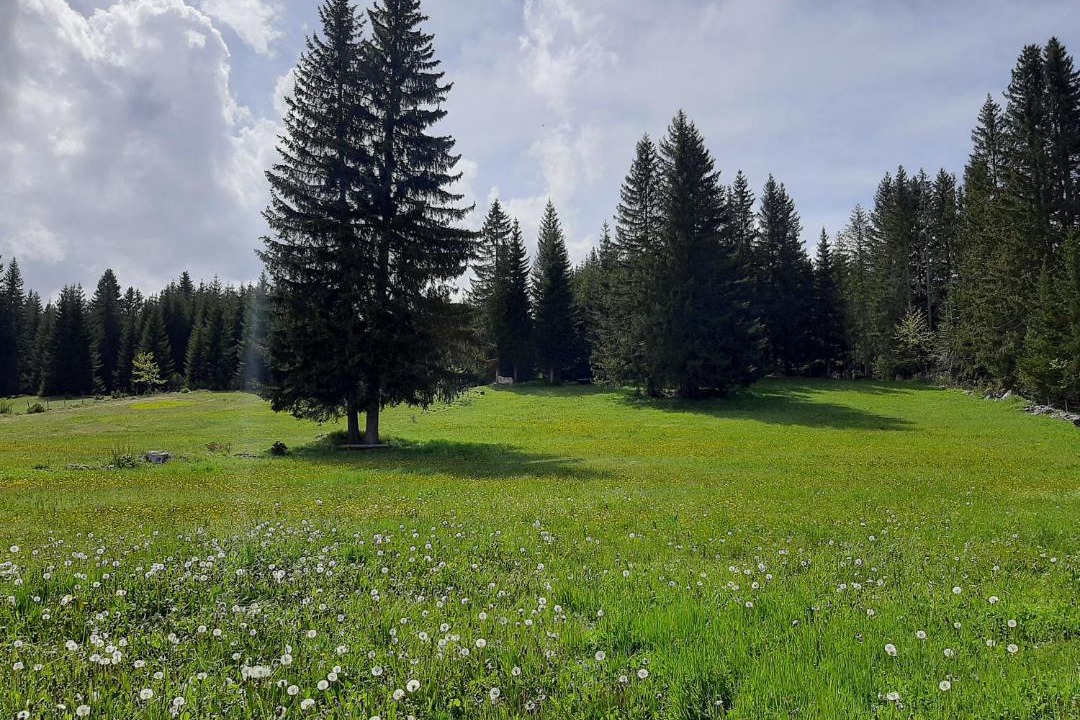 Photo of Others in Zabljak