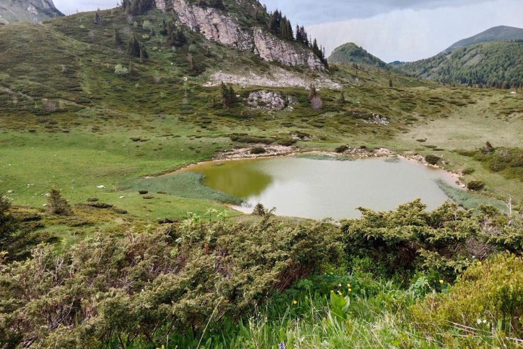 Photo of Others in Montenegro