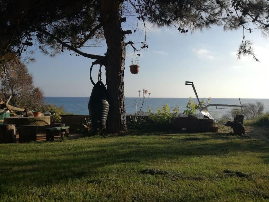 Photo of Others in Agios Matthaios