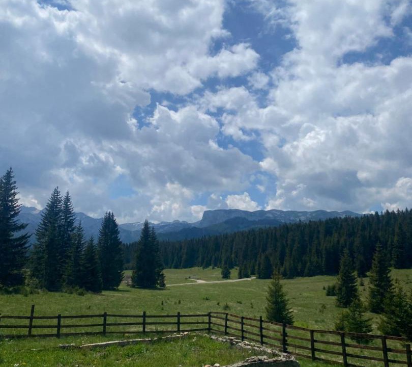 Photo of Others in Zabljak