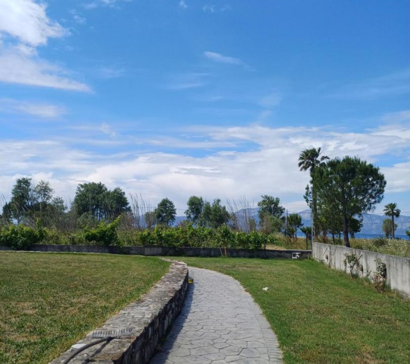 Photo of Others in Artemisio