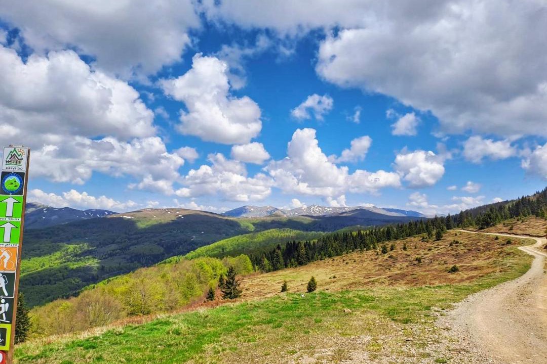 Photo of Others in Montenegro