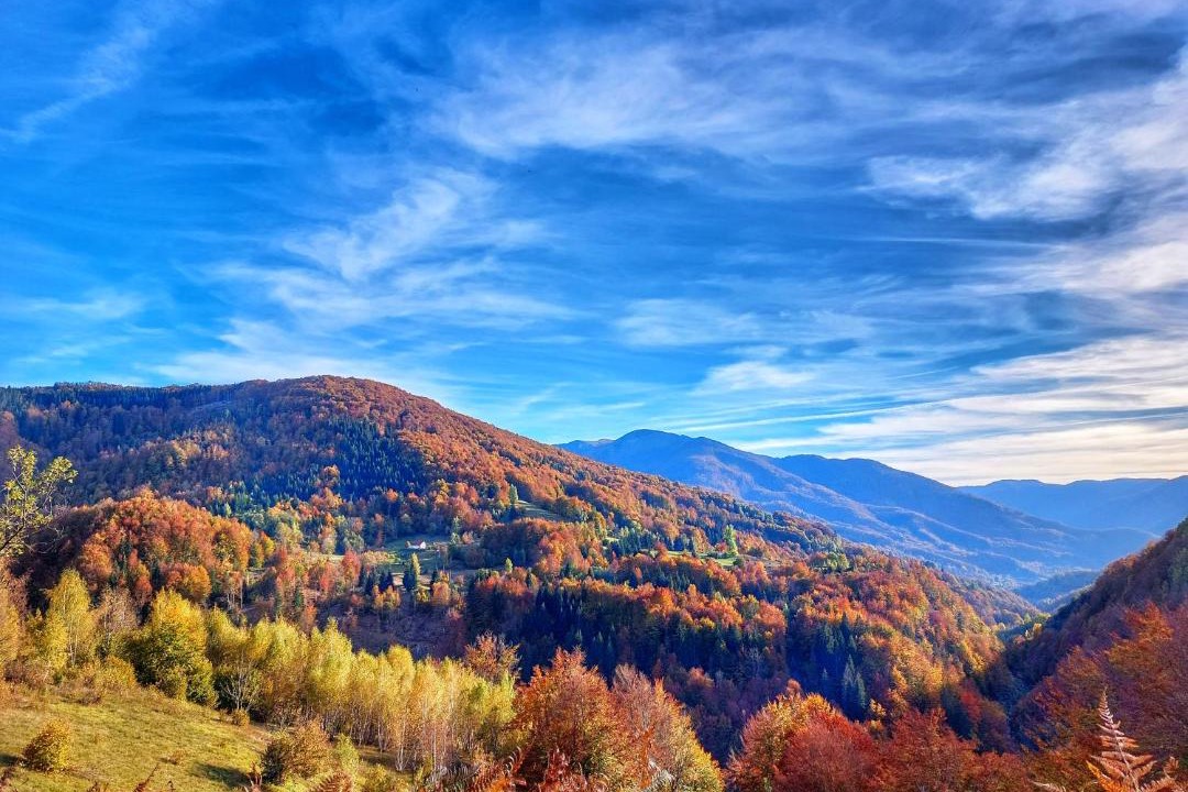Photo of Others in Montenegro