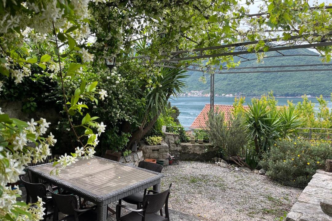 Photo of Others in Perast