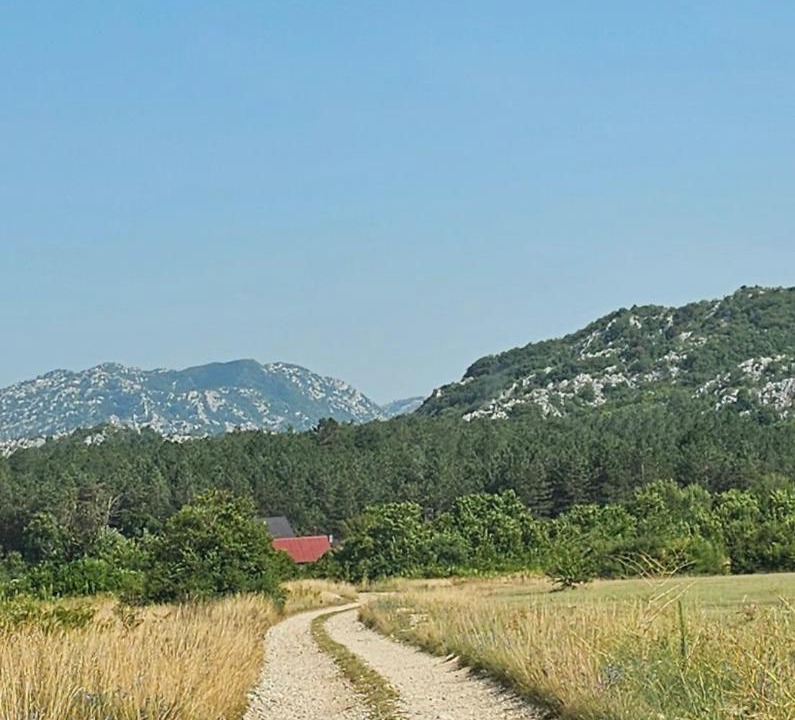 Photo of Outdoor in Grahovo