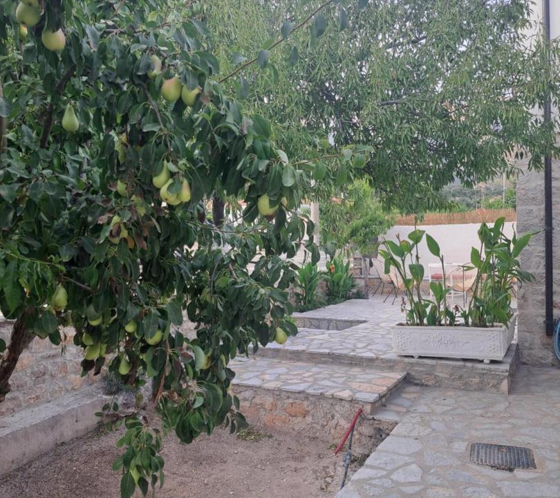 Photo of Others in Himare