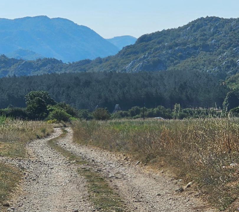 Photo of Outdoor in Grahovo