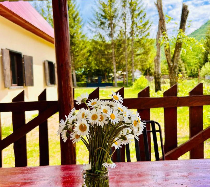 Photo of Others in Kolasin Municipality