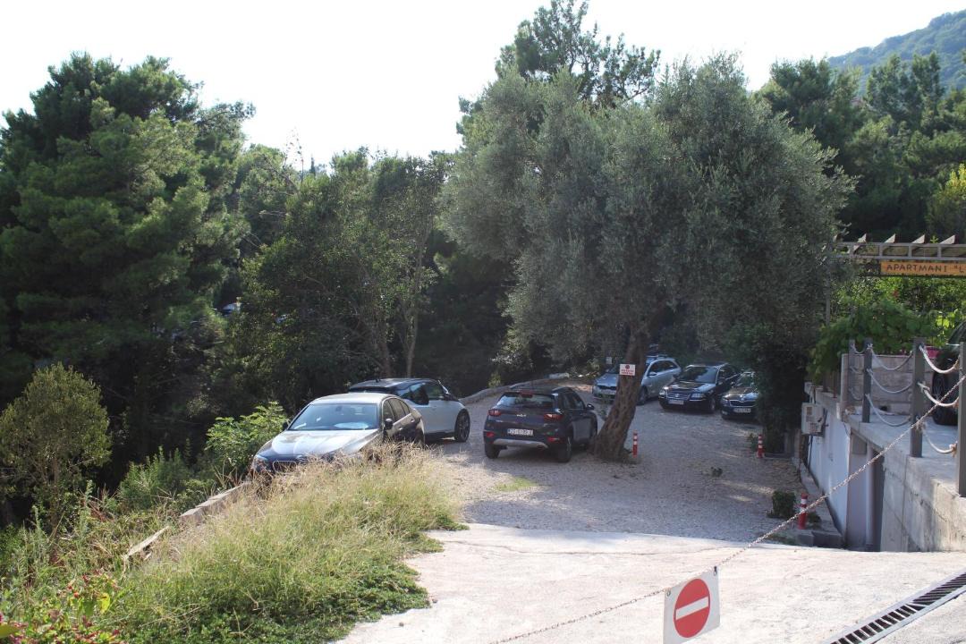 Photo of Others in Petrovac