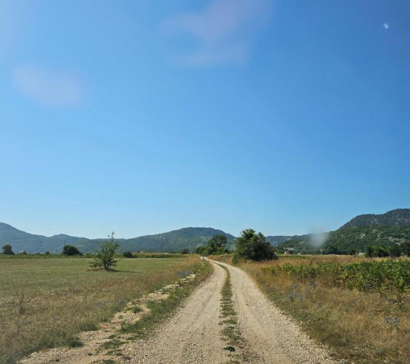 Photo of Others in Grahovo
