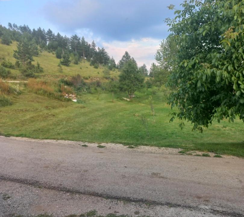 Photo of Others in Zabljak