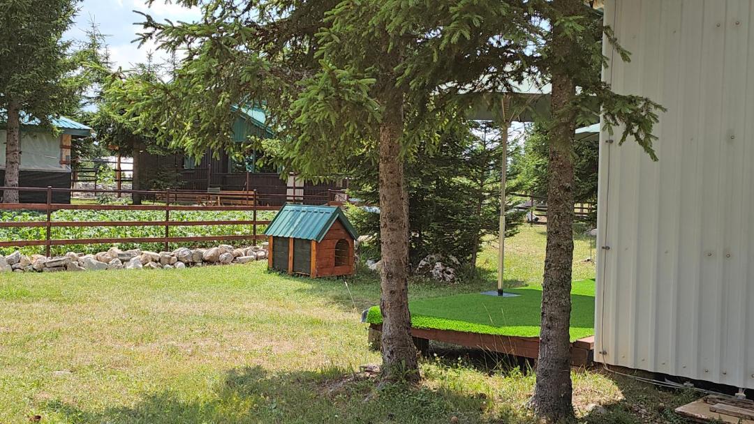 Photo of Others in Zabljak