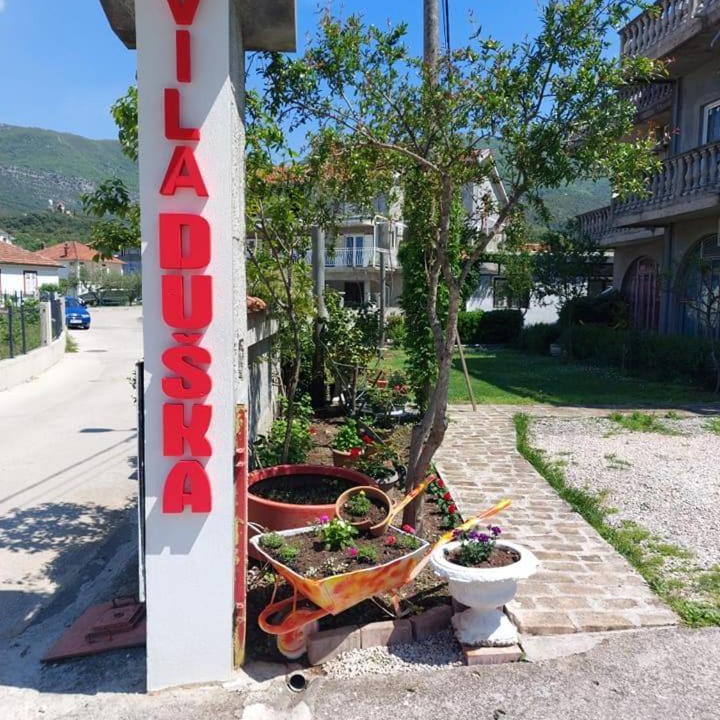 Photo of Others in Zelenika