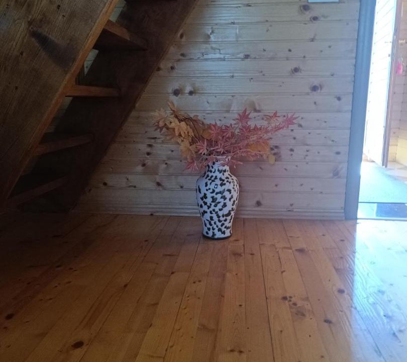 Photo of Others in Zabljak