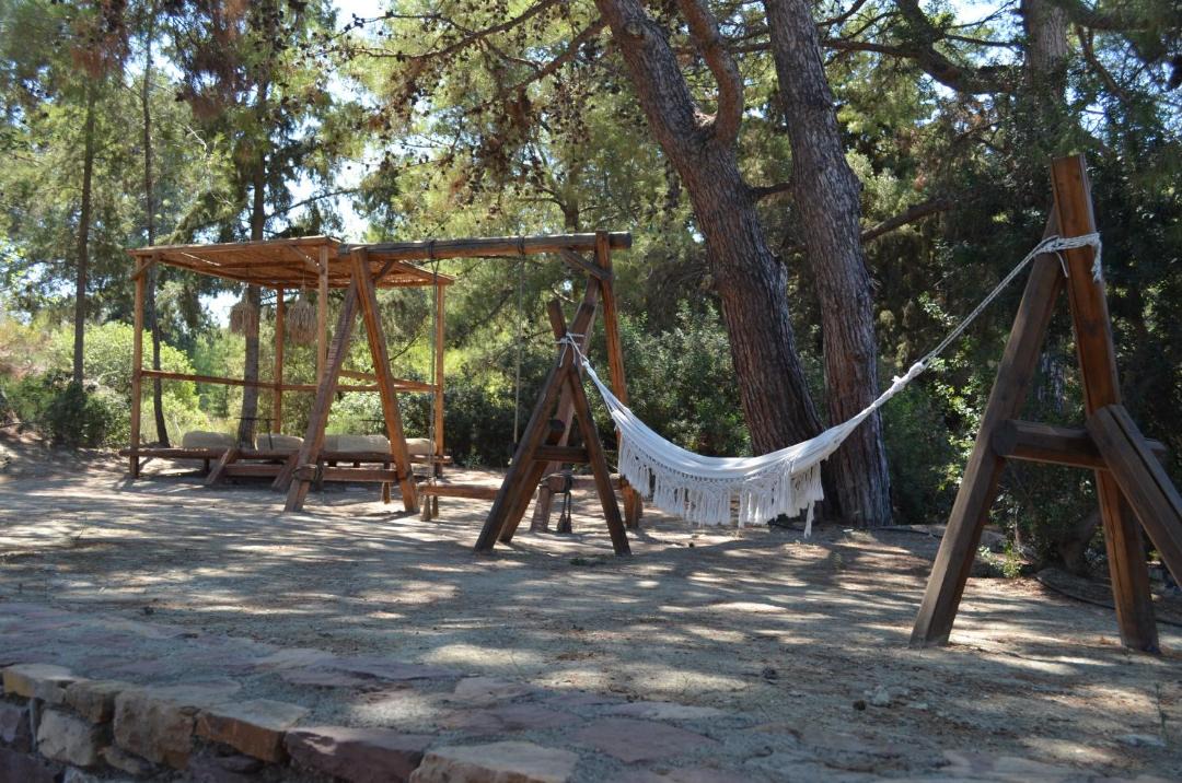 Photo of Others in Ialyssos