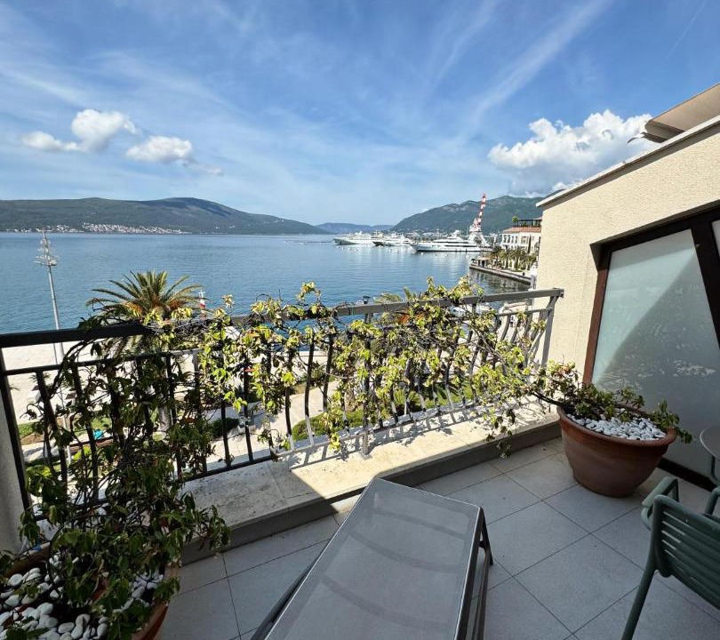 Photo of Others in Tivat