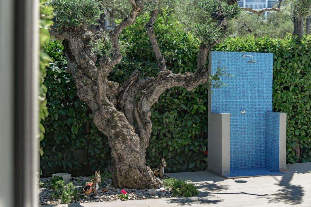 Photo of Others in Tsilivi