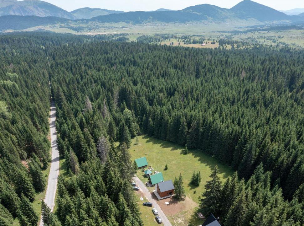 Photo of Others in Zabljak