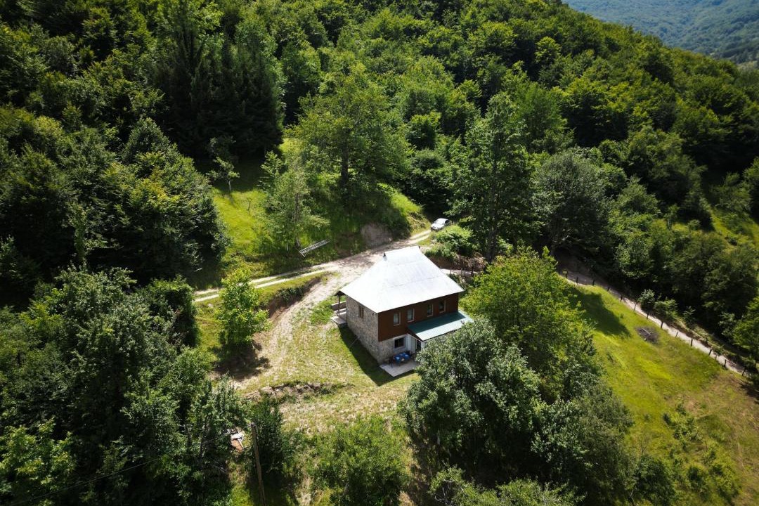 Photo of Others in Montenegro