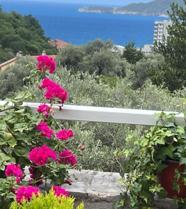 Photo of Others in Becici