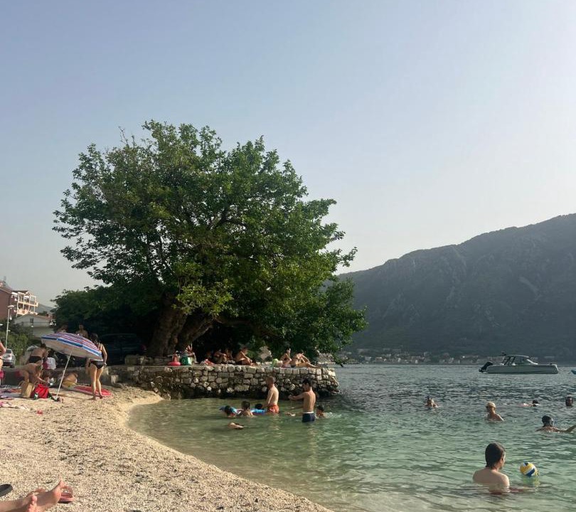 Photo of Others in Dobrota