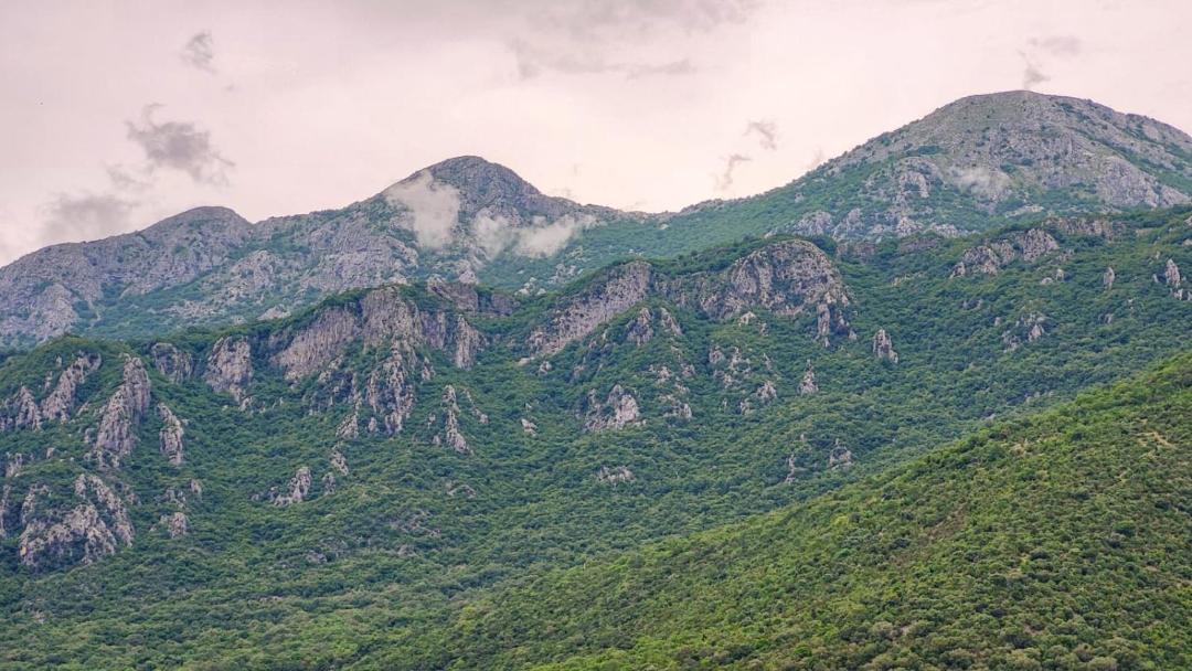 Photo of Others in Zelenika