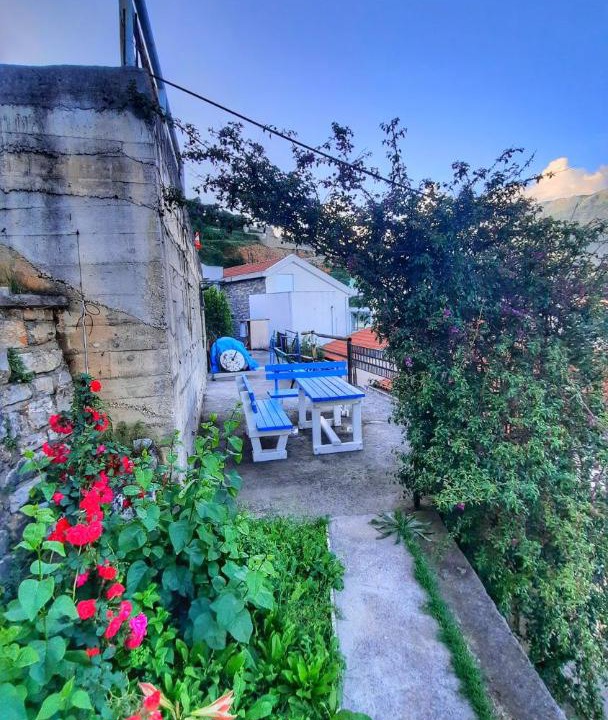 Photo of Others in Budva