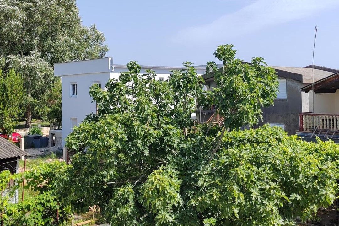 Photo of Others in Bregvija