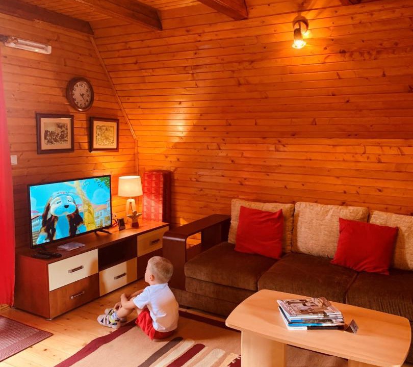 Photo of Livingroom in Zabljak